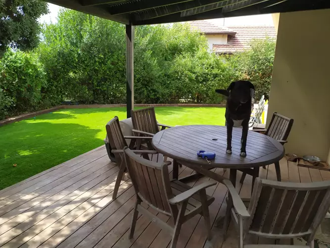 התקנת דשא סינתטי בבית פרטי 3